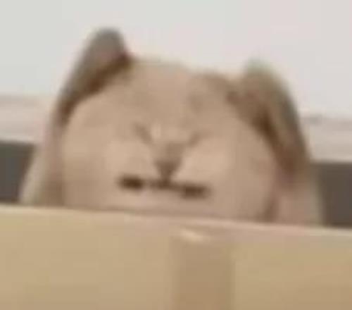 阿根廷国家,队本期阵容,遗憾缺失迪,亚博娱乐体育app下载,亚博娱乐体育官网,亚博娱乐体育官方网站,亚博娱乐体育平台